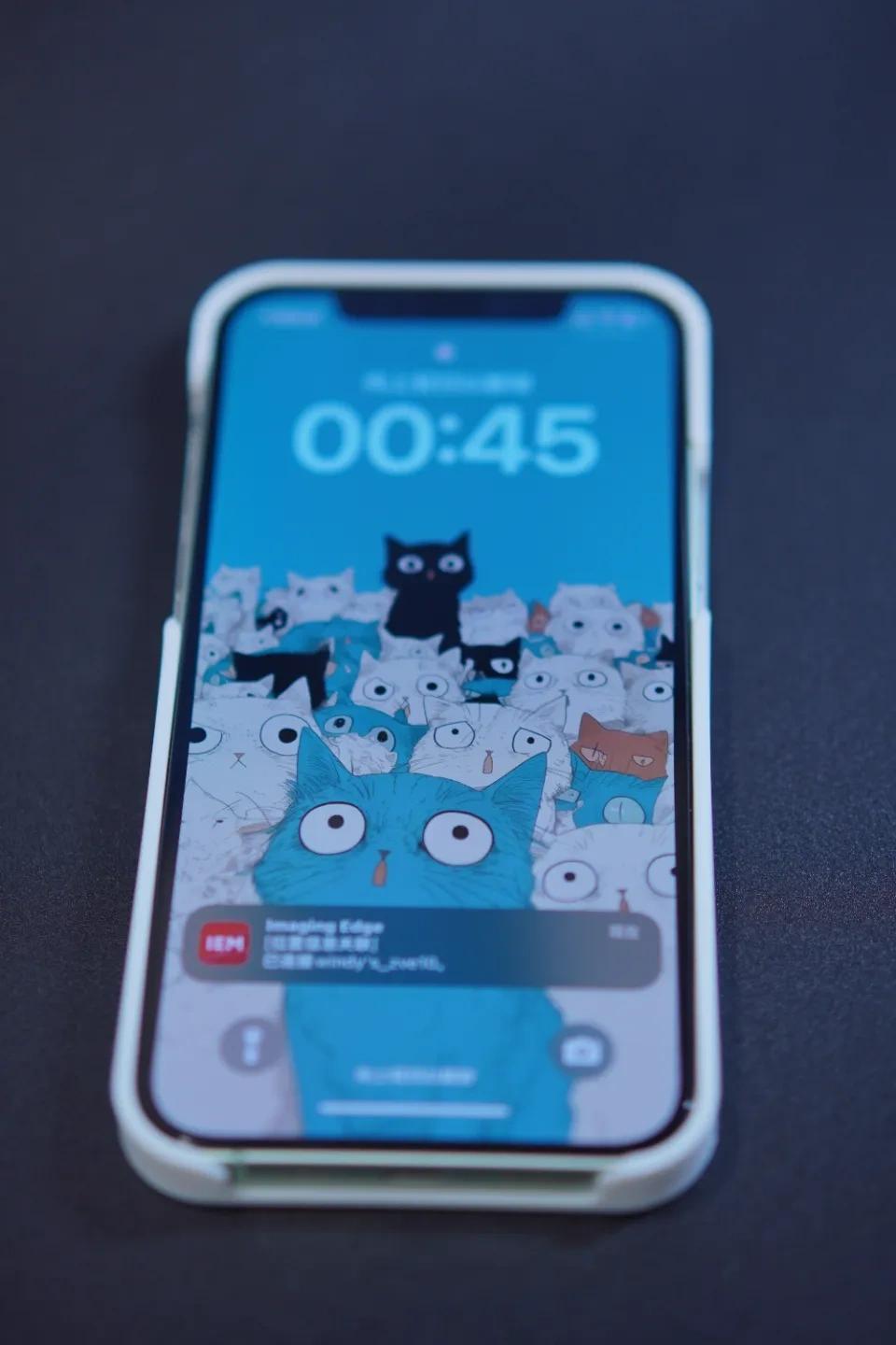 Phone Case IPhone 8-16